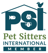Partner 6