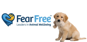 Fear Free Certified